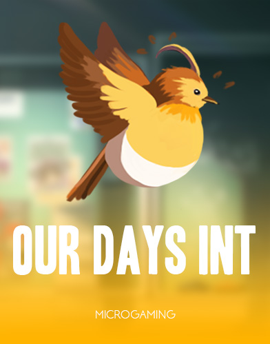 Our Days Int